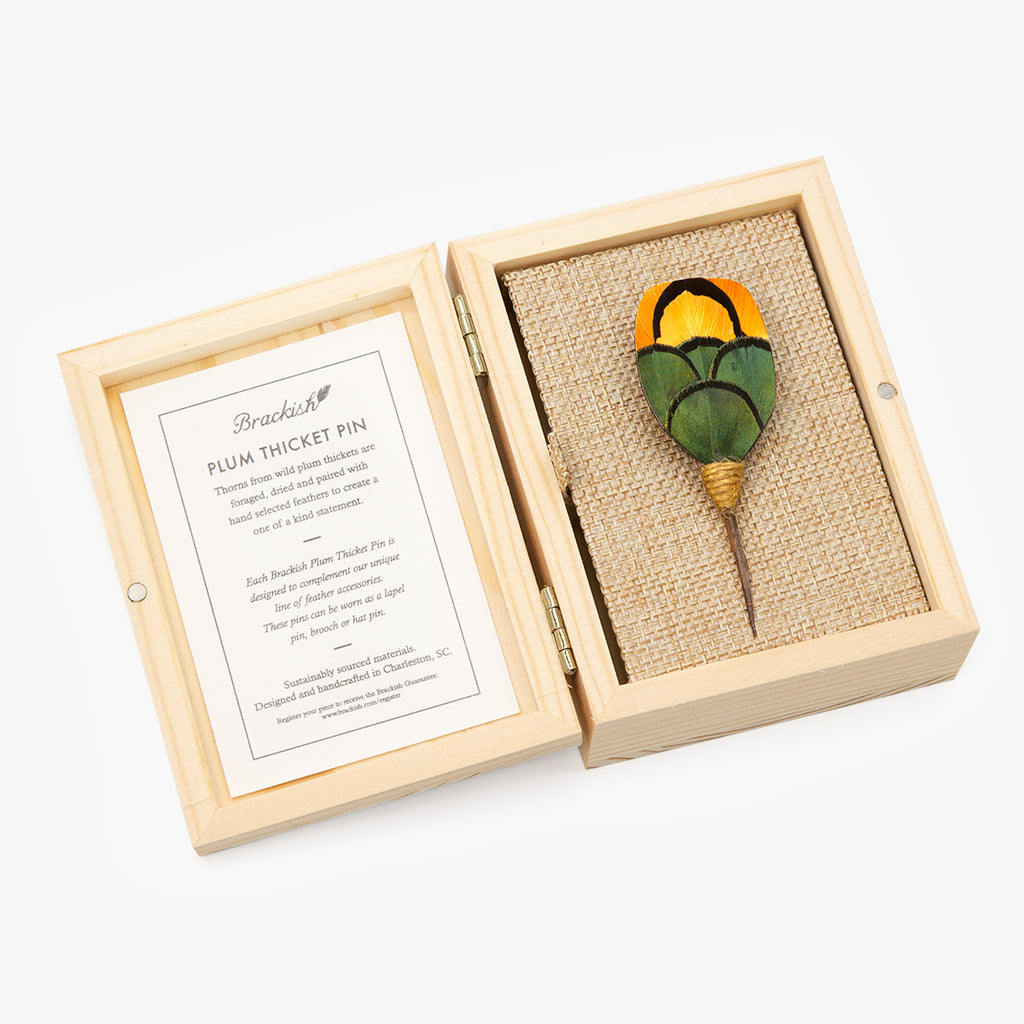http://brackish.com/cdn/shop/products/olin-feather-plum-thicket-lapel-pin-boxed.jpg?v=1662141888