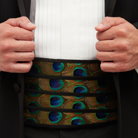 Teal & Gold Cummerbund - Peacock Feathers | Brackish display picture 1