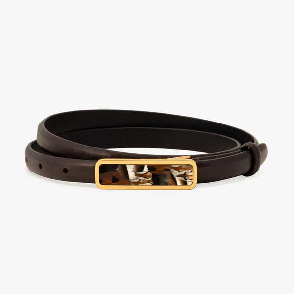 ACE Basin Abby Belt