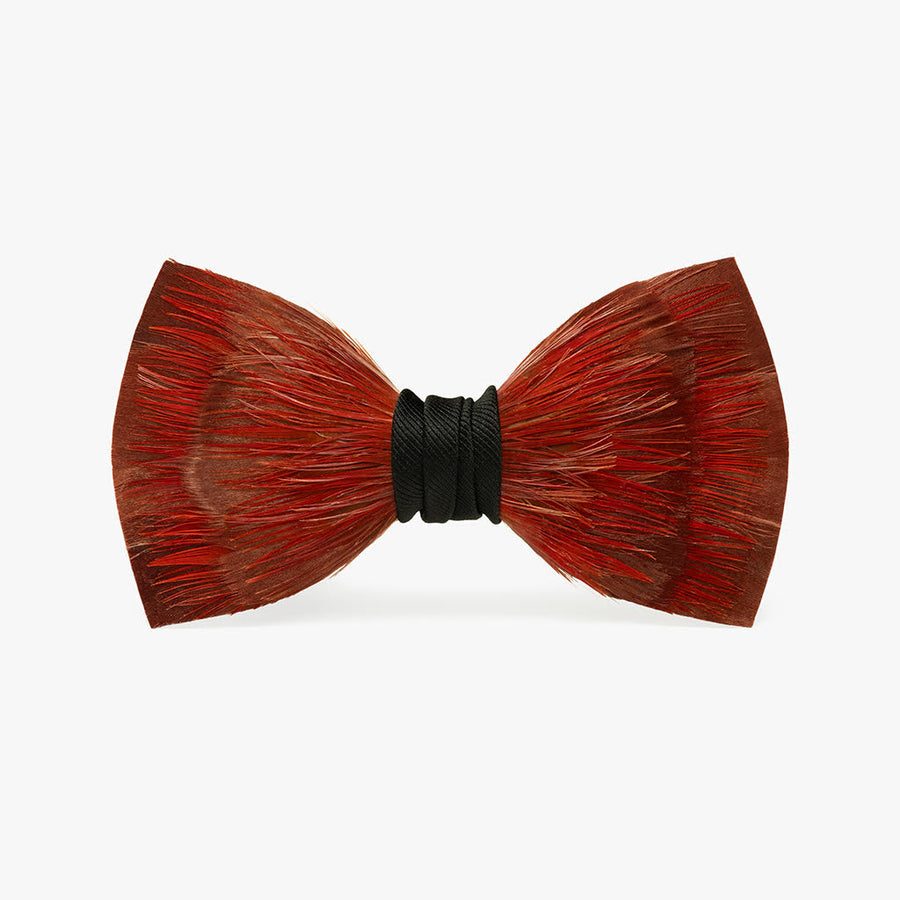 Cruise Bow Tie