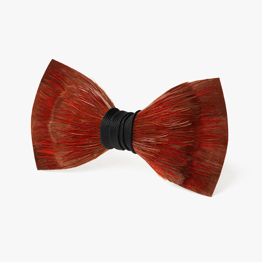 Cruise Bow Tie
