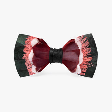 interesting bow ties
