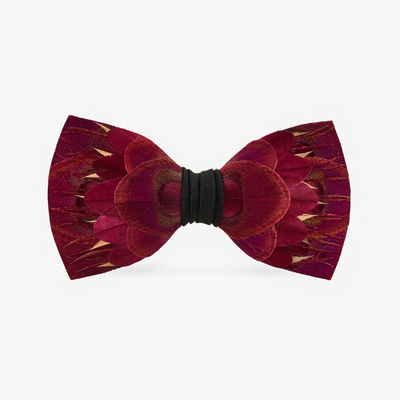 Michael Bow Tie