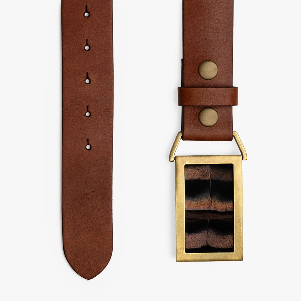 Cypress Shadow | Feather Panel Belt | Handcrafted Luxury